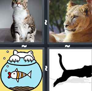 4 Pics 1 Word Level 2810 Answers