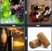 4 Pics 1 Word Level 3224 Answers