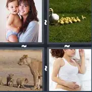 4 Pics 1 Word Level 3231 Answers