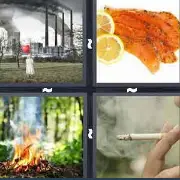 4 Pics 1 Word Level 3294 Answers