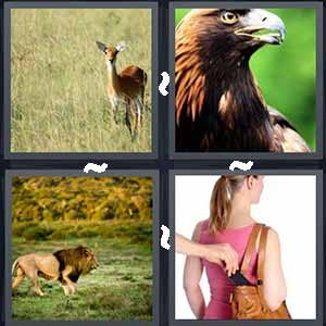 4 Pics 1 Word Level 396 Answers