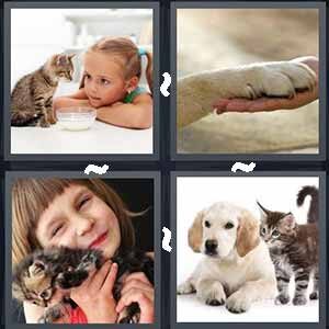 4 Pics 1 Word Level 459 Answers