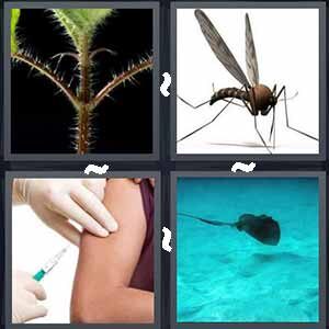 4 Pics 1 Word Level 465 Answers