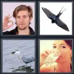 4 Pics 1 Word Level 4767 Answers