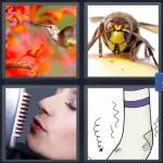 4 Pics 1 Word Level 4792 Answers
