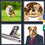 4 Pics 1 Word Level 4812 Answers