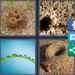 4 Pics 1 Word Level 4834 Answers