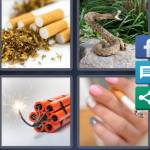 4 Pics 1 Word Level 4857 Answers