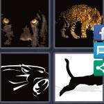 4 Pics 1 Word Level 4916 Answers