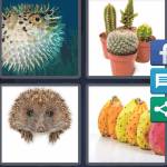 4 Pics 1 Word Level 4919 Answers