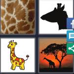 4 Pics 1 Word Level 5026 Answers