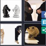 4 Pics 1 Word Level 5029 Answers