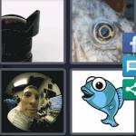 4 Pics 1 Word Level 5033 Answers