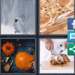 4 Pics 1 Word Level 5044 Answers