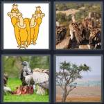 4 pics 1 word level 5097