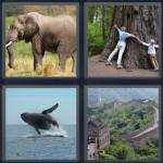 4 Pics 1 Word Level 5111 Answers