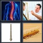 4 Pics 1 Word Level 5114 Answers