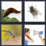 4 Pics 1 Word Level 5118 Answers