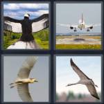 4 Pics 1 Word Level 5119 Answers