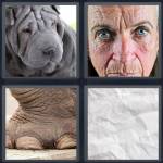 4 Pics 1 Word Level 5125 Answers