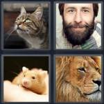 4 Pics 1 Word Level 5146 Answers