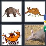 4 Pics 1 Word Level 5182 Answers