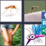 4 Pics 1 Word Level 5198 Answers