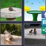 4 Pics 1 Word Level 5249 Answers
