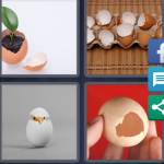 4 Pics 1 Word Level 5255 Answers