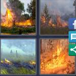 4 Pics 1 Word Level 5266 Answers