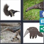 4 Pics 1 Word Level 5309 Answers