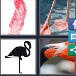 4 Pics 1 Word Level 5335 Answers