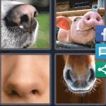 4 Pics 1 Word Level 5342 Answers