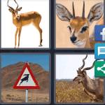 4 Pics 1 Word Level 5346 Answers