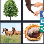 4 Pics 1 Word Level 5375 Answers