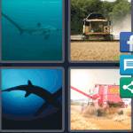 4 Pics 1 Word Level 5388 Answers