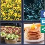 4 Pics 1 Word Level 5444 Answers