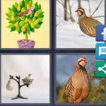 4 Pics 1 Word Level 5445 Answers