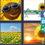 4 Pics 1 Word Level 5456 Answers