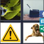 4 Pics 1 Word Level 5485 Answers