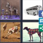 4 Pics 1 Word Level 5508 Answers