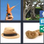 4 Pics 1 Word Level 5558 Answers