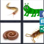 4 Pics 1 Word Level 5574 Answers