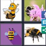 4 Pics 1 Word Level 5576 Answers