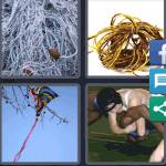 4 Pics 1 Word Level 5587 Answers