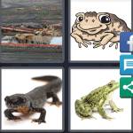 4 Pics 1 Word Level 5593 Answers