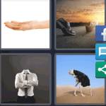 4 Pics 1 Word Level 5645 Answers