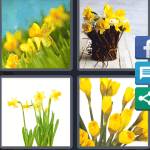 4 Pics 1 Word Level 5646 Answers