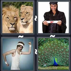 4 Pics 1 Word Level 575 Answers