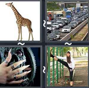 4 Pics 1 word Level 1011 Answers